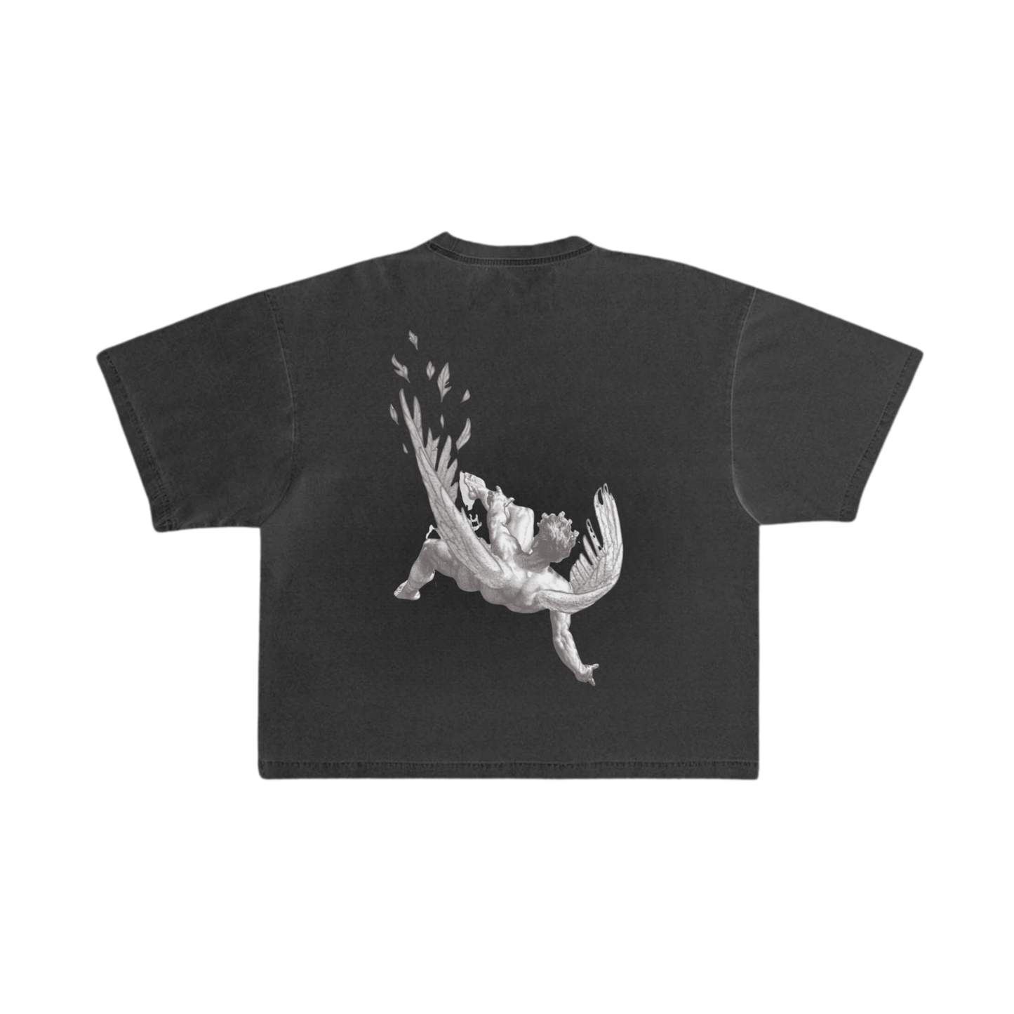 The Art Of Icarus Tee.